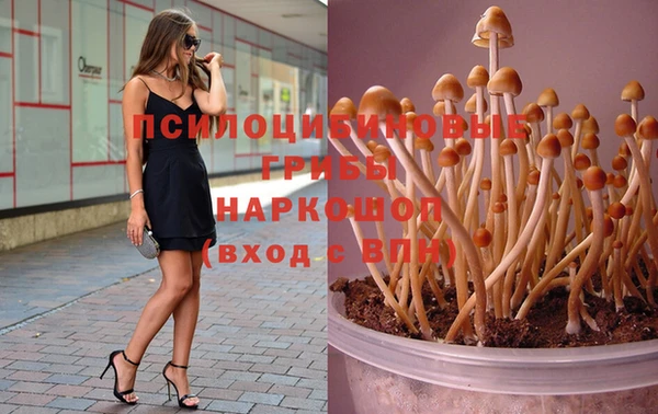 трава Алексин
