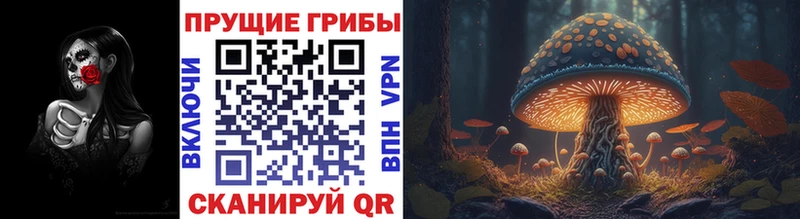 Псилоцибиновые грибы GOLDEN TEACHER  блэк спрут ССЫЛКА  Алексеевка 